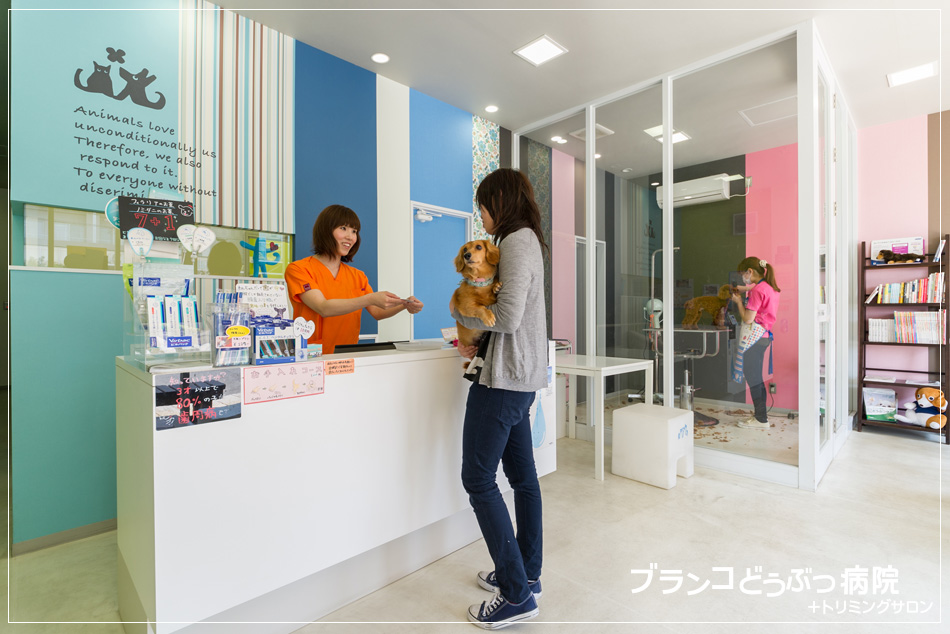 津島市の「ブランコどうぶつ病院」｜動物病院のデザインは名古屋のスーパーボギーデザイン事務所