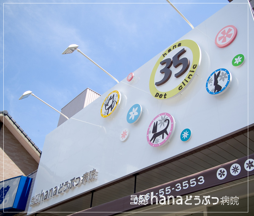 尾張旭市の「三郷hanaどうぶつ病院」｜動物病院のデザインは名古屋のスーパーボギー